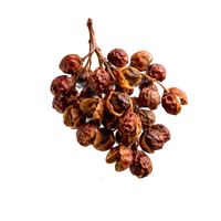 Sichuan Pepper