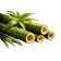 Bamboo