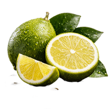 Calabrian_Bergamot