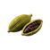 Cardamom