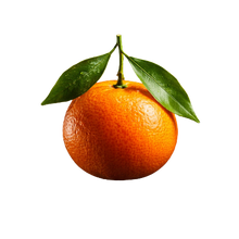 Italian_Mandarin