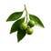 Petitgrain