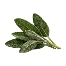 Sage