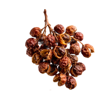 Sichuan Pepper
