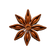 Star Anise