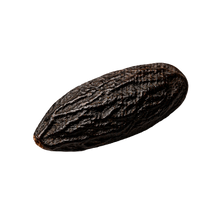Tonka Bean