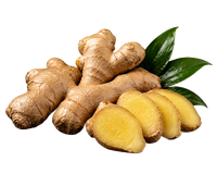 Ginger