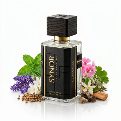 SYNOR Aqua Chill – Extrait de Parfum - Synor