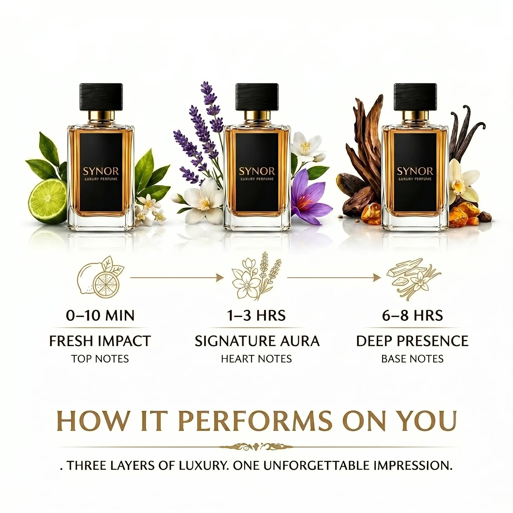 SYNOR Golden Lady – Extrait de Parfum - Synor